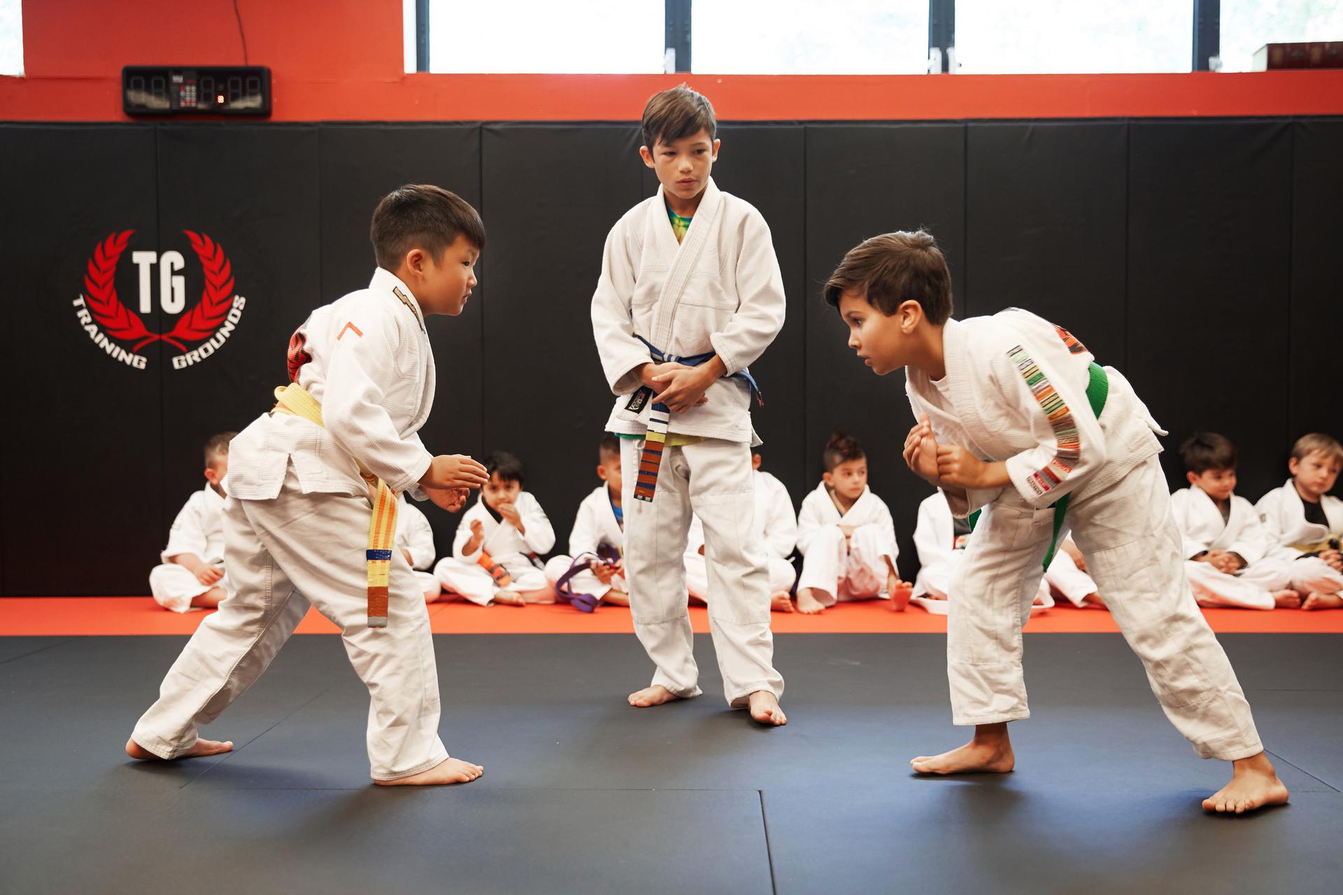 Training Grounds Jiu-Jitsu & MMA logo